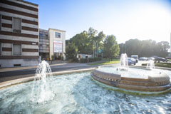 Valutazioni Immobiliari CULTURA & MERCATO DEL REAL ESTATE